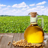 local sourced